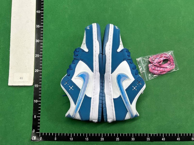Nike Dunk SB -4