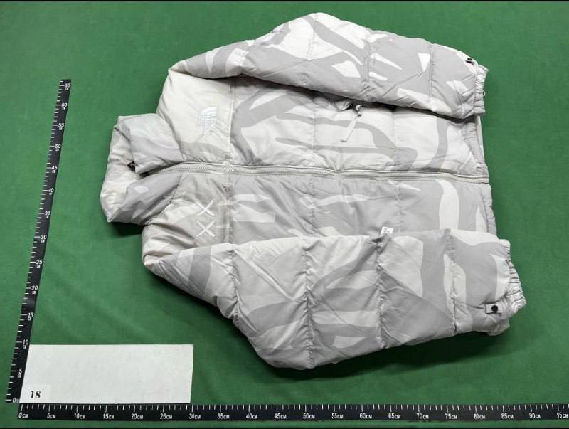 The North Face 1996 Down Jacket -4