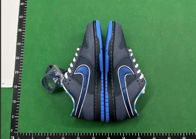 Nike Dunk SB -2