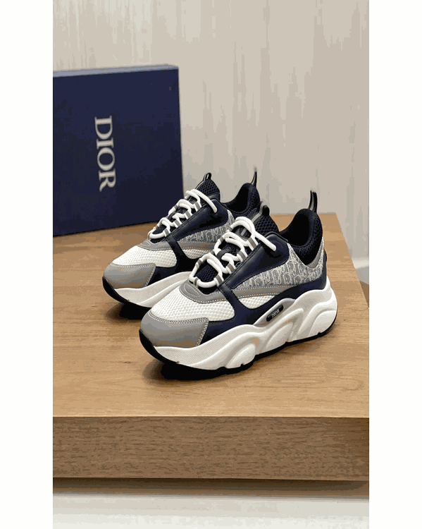 Dior B22