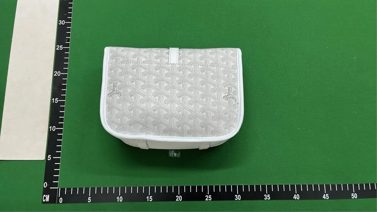  GOYARD bag -3