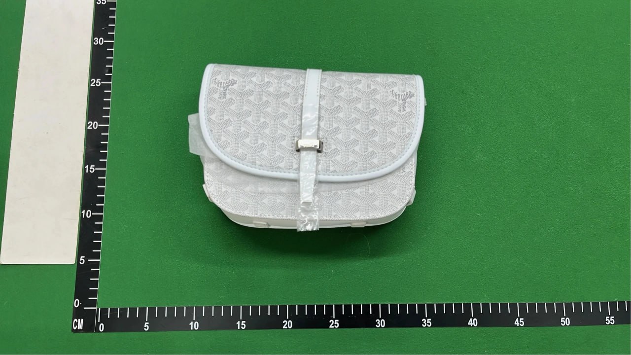  GOYARD bag -4