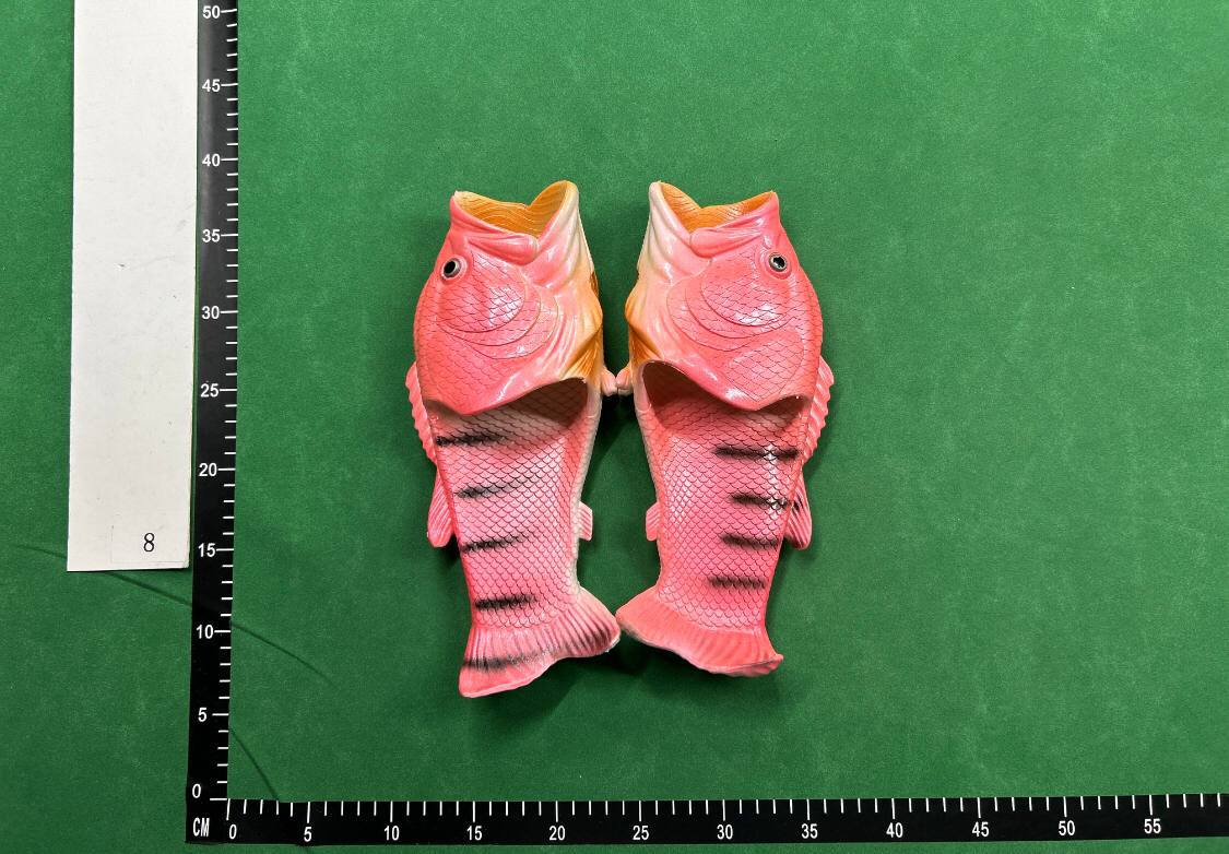 FISH SLIDES