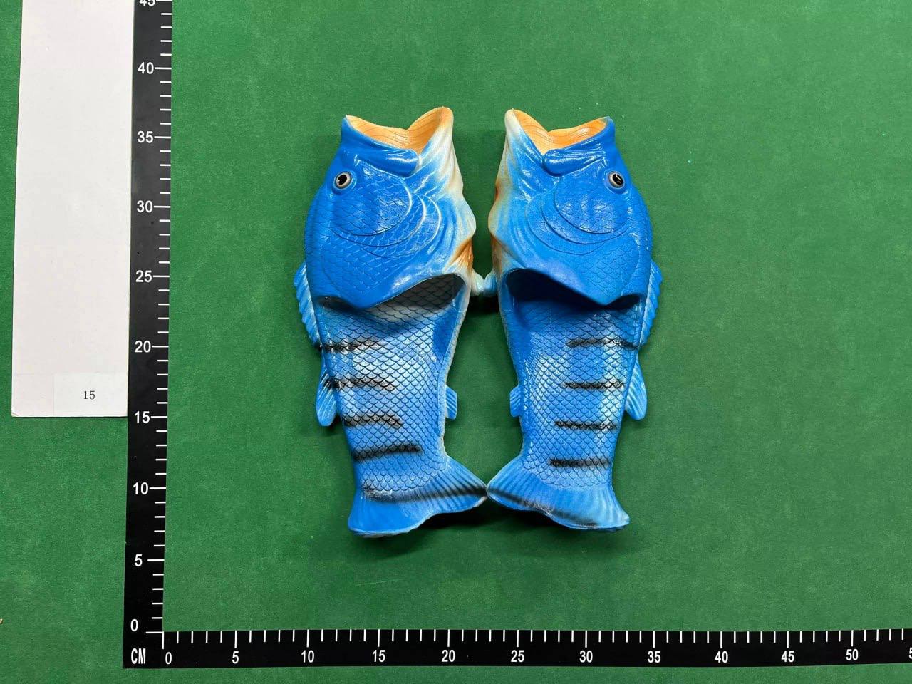 FISH SLIDES -2