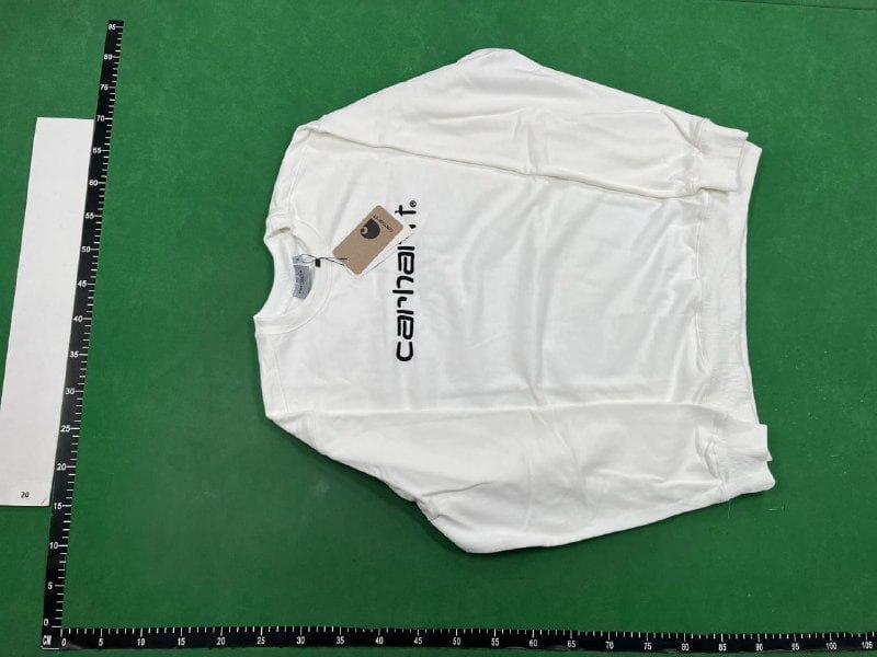 carhatt hoodie(40 CP) -3
