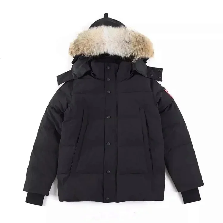  STONE ISLAND COAT