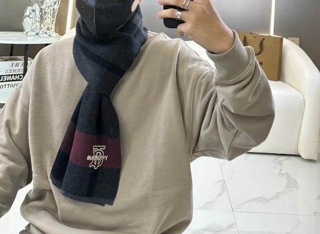 LV Louis Vuitton Burberry scar