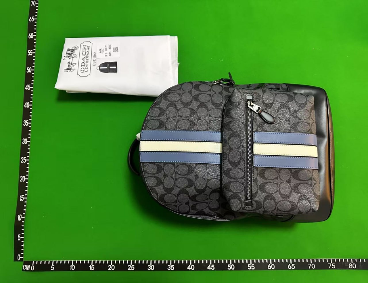 coach bags -4