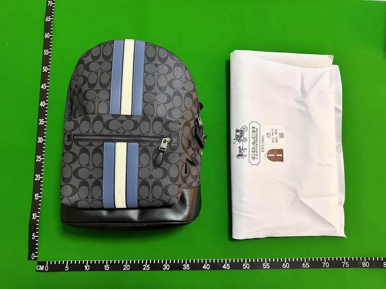 coach bags -2