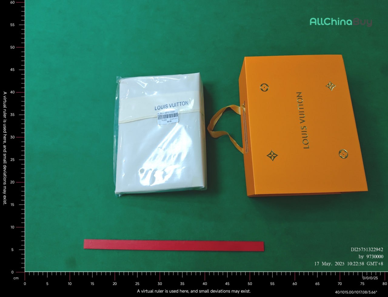 LV BAG -2
