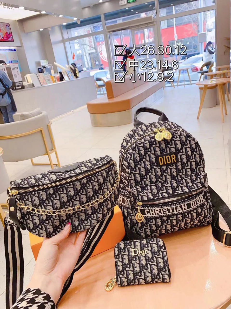 BurberryLVDior Bag Set -3