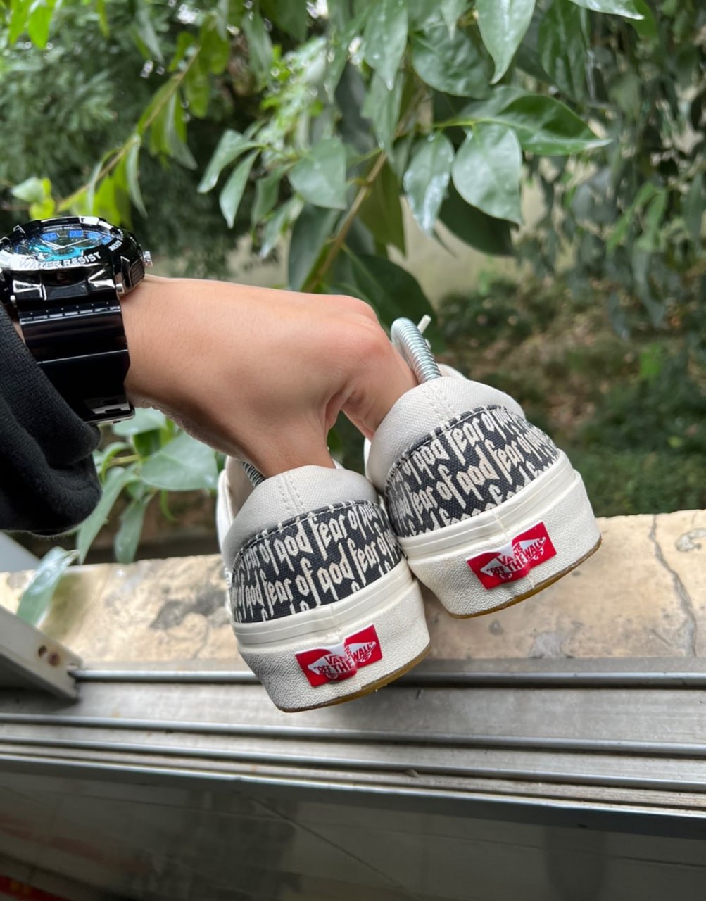 Vans Collection -3