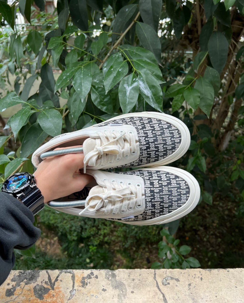Vans Collection -4