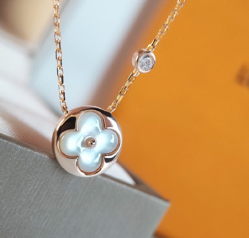 Louis Vuitton necklace/Bracelet -2