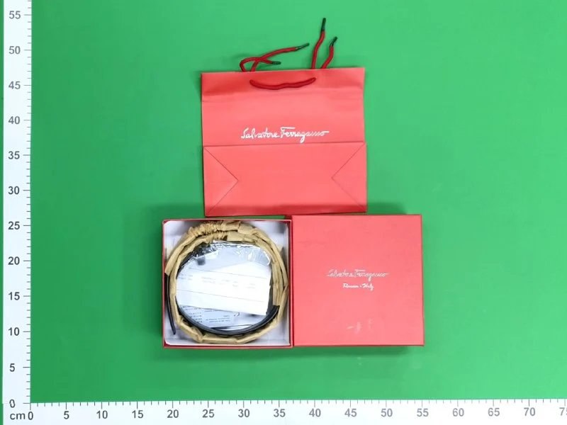 Ferragamo Belt -2