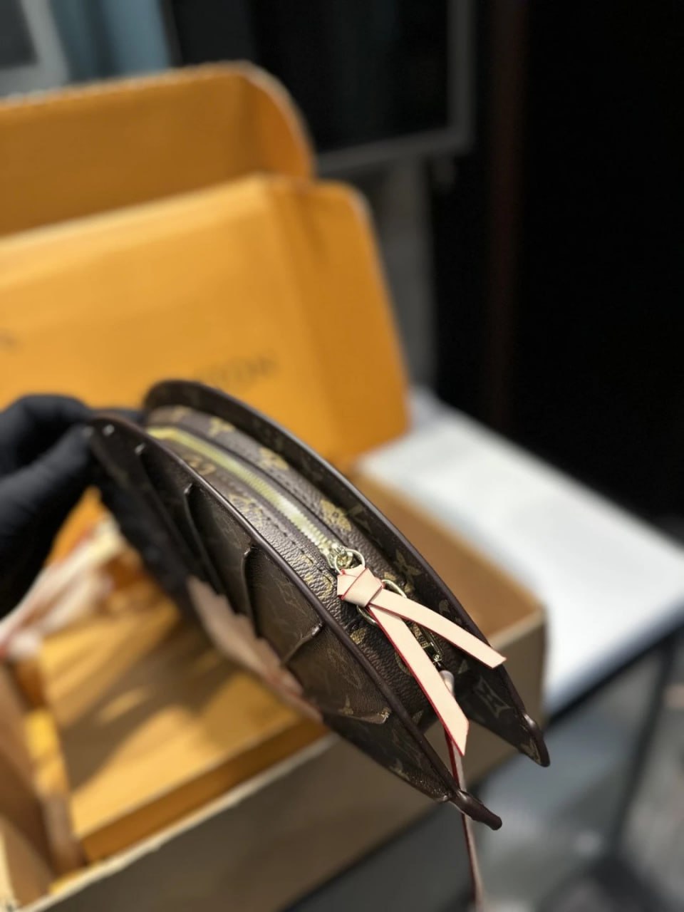 Louis Vuitton bag -3