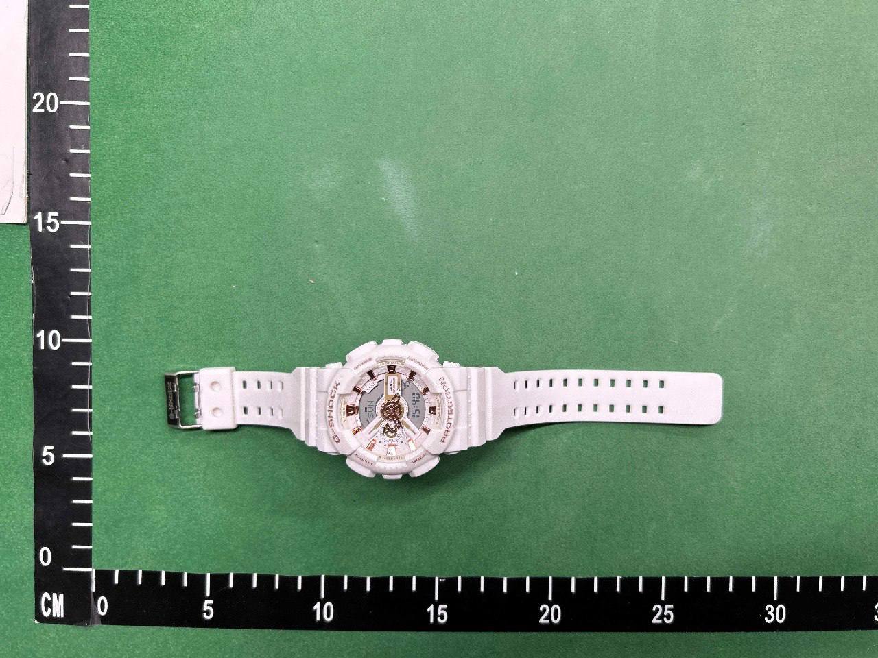 casio Watch gm-110 -2