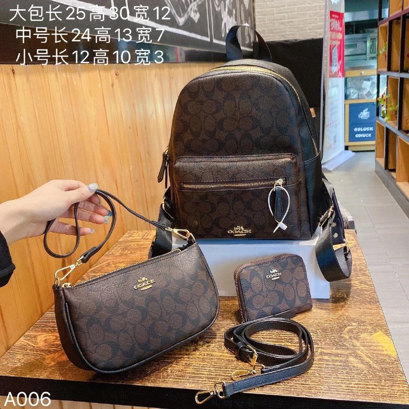 Coach Bags -4