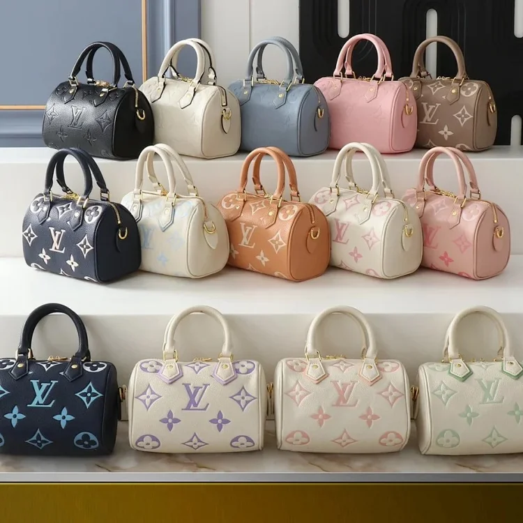 Louis Vuitton Bag