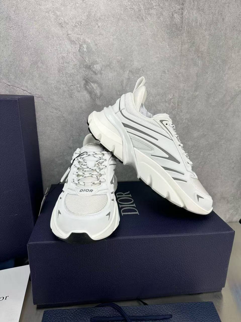 DIOR B44