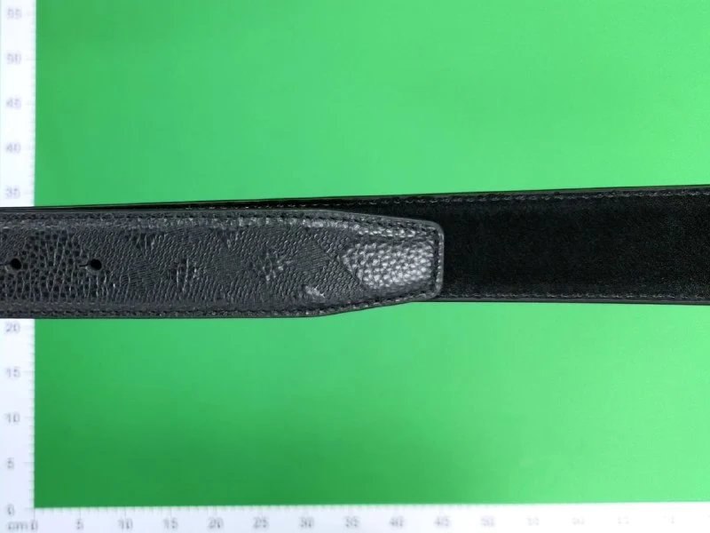 Ferragamo Belt -4