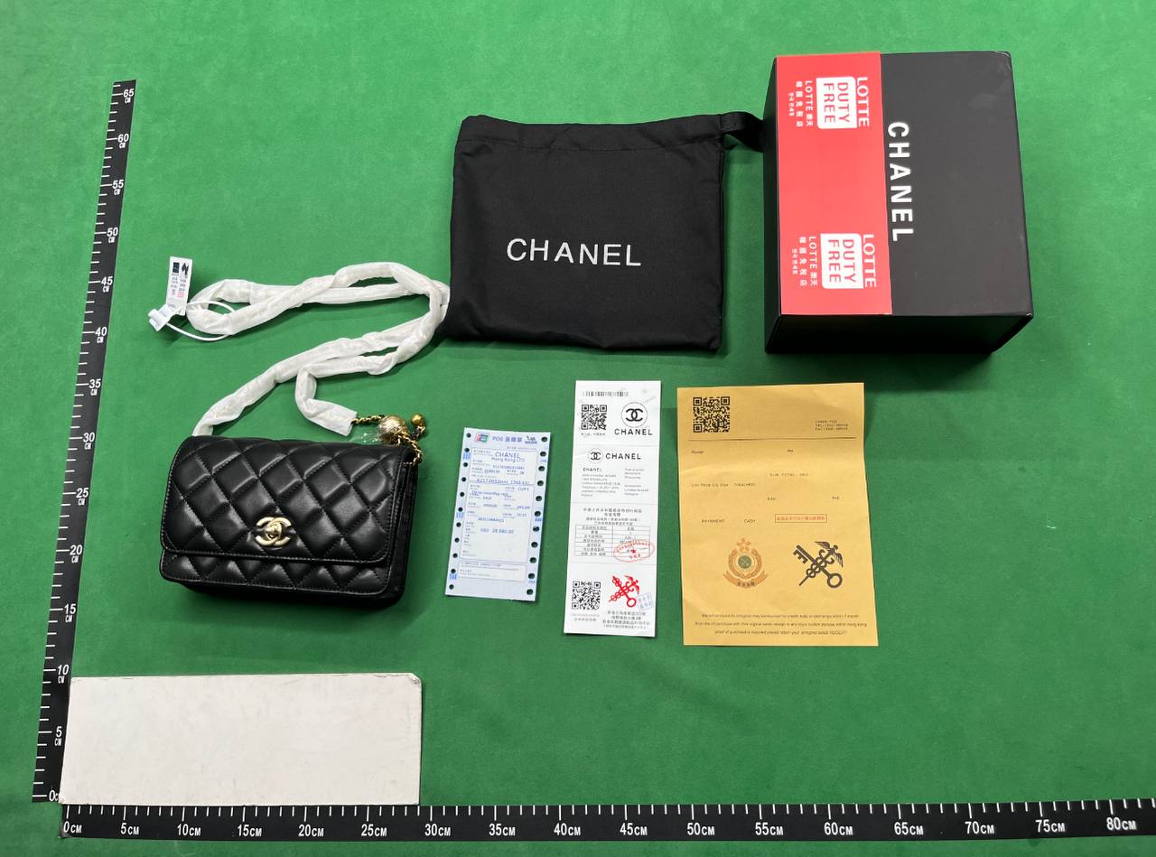 Chanel  bags -3