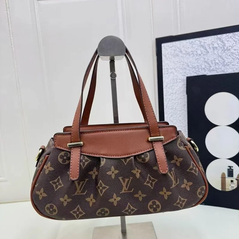 Louis Vuitton Bag Collection （30+） -2