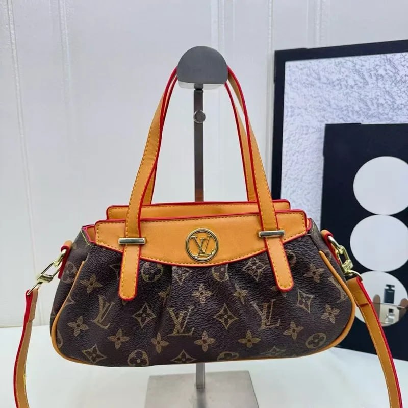 Louis Vuitton Bag Collection （30+） -3