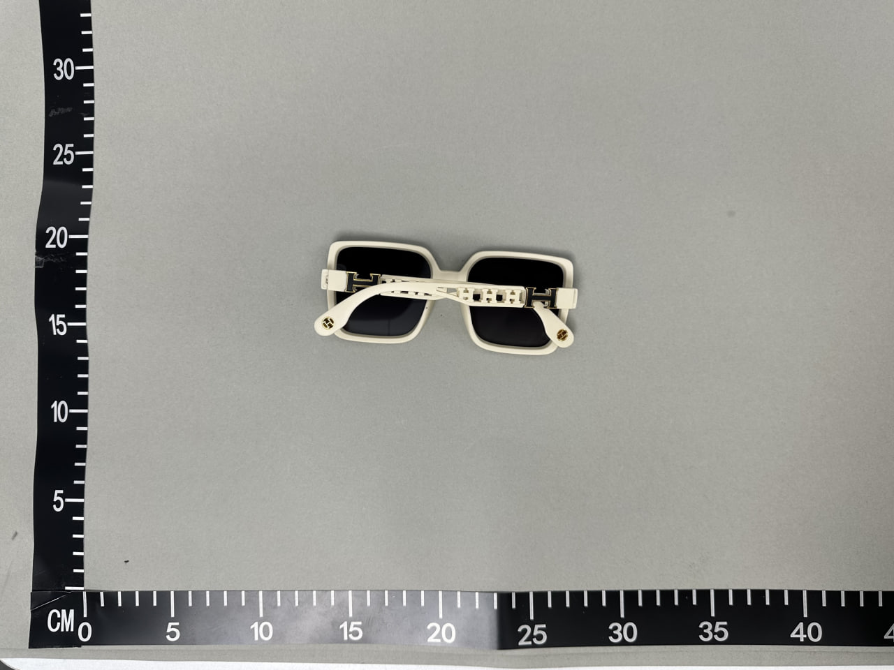 Hermes SunGlasses -3