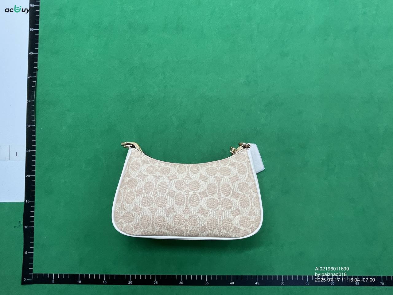 Coach Bag with box -3