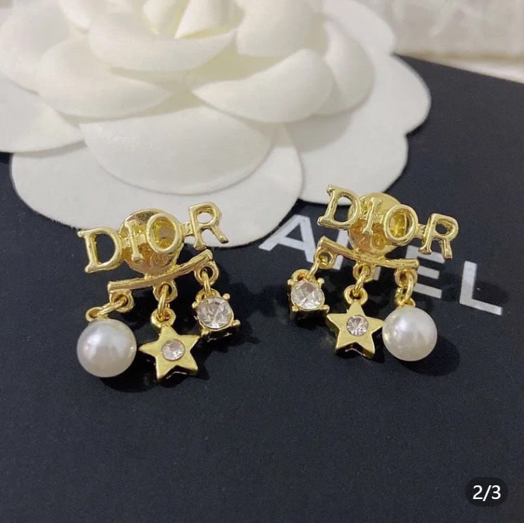 Dior earrings -2