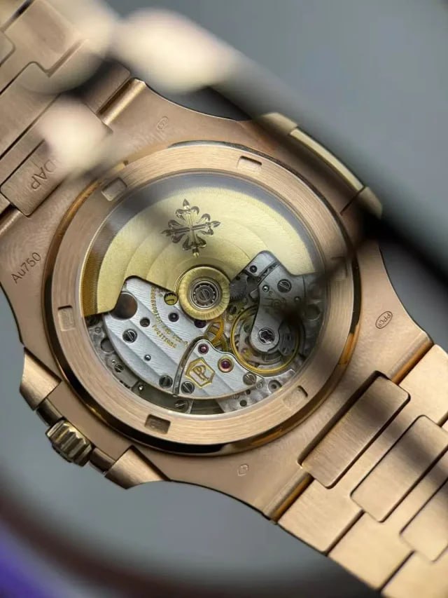 Patek Philippe watch -3