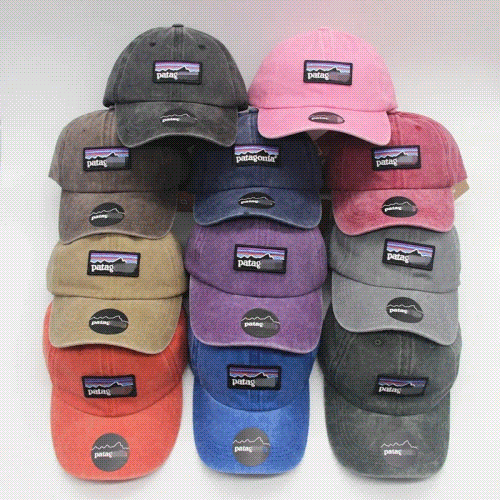 Patagonia cap