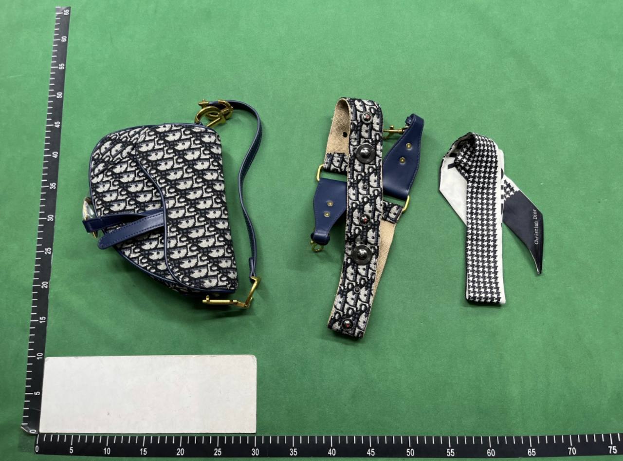 Dior camera bag -3