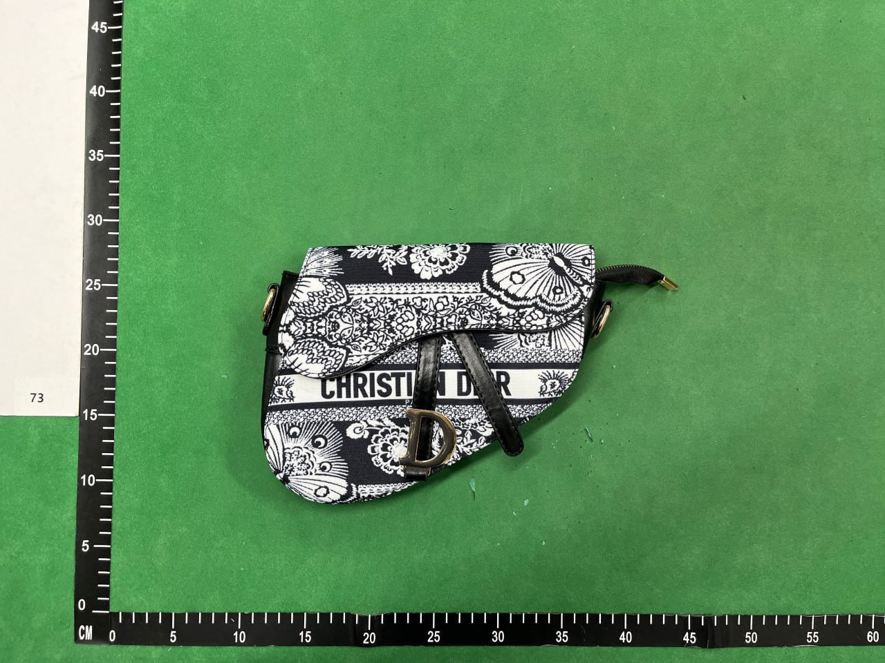 Dior camera bag -4