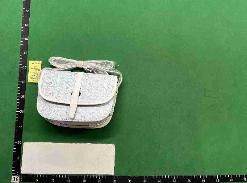 goyard bag -2