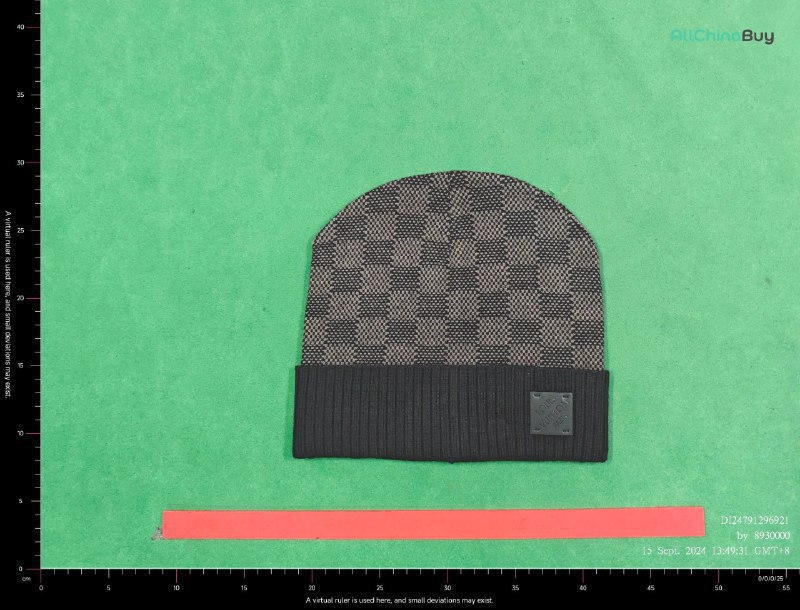 LV Beanie & Scarf（20+ Styles） -4