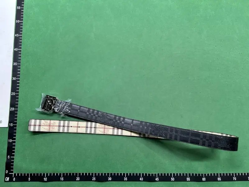 Burberry Belt（15+ Styles） -2