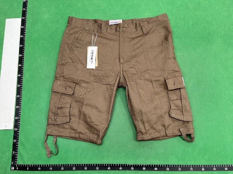 Carhartt Shorts -3